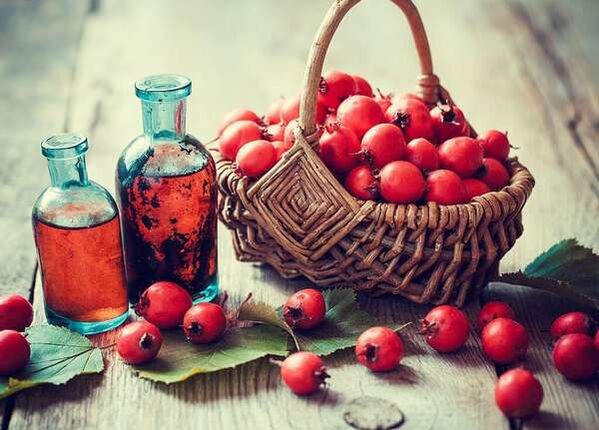 Hawthorn fruits to increase member
